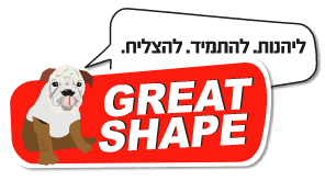 לוגו Great Shape