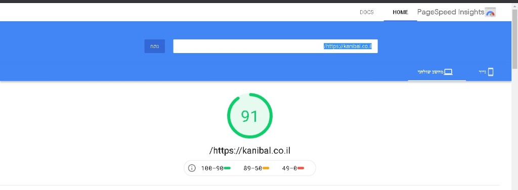 ציון PageSpeed 91 של קניבל מדיה