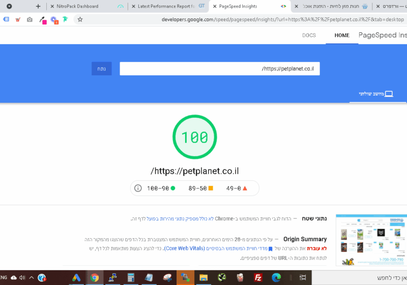 ציון PageSpeed 100 של Pet Planet