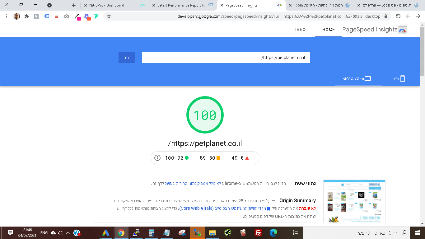ציון PageSpeed 100 של Pet Planet